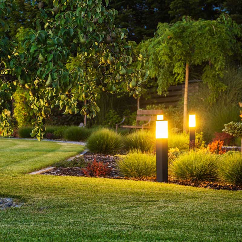 Landscape Lighting Installation